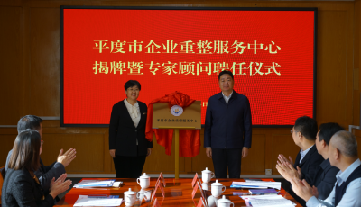 山東省首家企業(yè)重整服務(wù)中心落戶平度