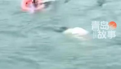 “玉米阿姨”浪中救出女大学生