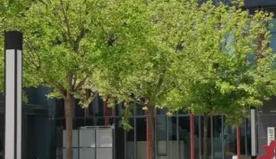 “有事找老兵”，龙屯社区里的“和事佬”天团