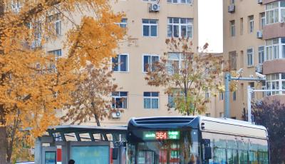 適老服務(wù)再升級！青島364路公交守護(hù)“銀發(fā)族”從容出行