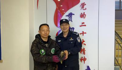 “空中闪电”受伤坠地，青岛城阳警民携手救助