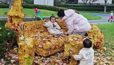 治愈又浪漫！青岛一小区将落叶做成沙发，居民争相打卡拍照，网友：别人家的物业