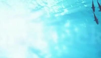 中国首款海洋创新药物诞生地！骨科明星药60%市场占有率！青岛国信制药左手“向海问药”填空白，右手“骨科称王”破垄断，实现双赛道领跑