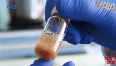 海上新山东丨一个车间仅需3名工人，明月海藻咋做到的？