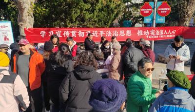 青岛市民政局开展国家宪法日宣传暨民政政策法规进社区活动