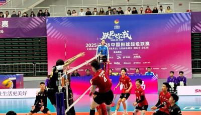 2:3憾负保定沃隶男排 兴轮呦呦元旦后挑战天津