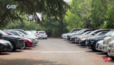 5年9万份免费午餐：让爱在烟火气中流淌