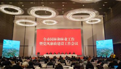 2026實施“建綠養(yǎng)綠護綠保綠享綠守綠”六大行動！青島市園林和林業(yè)工作暨黨風廉政建設工作會議召開