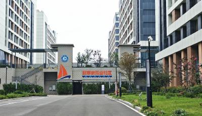 300萬人才！“青和力”從何而來？