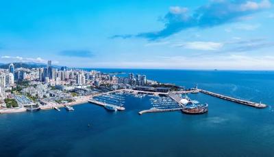 在青島的脈搏里，做一名“共振者”