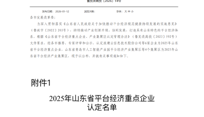 日日順等6家企業(yè)入選2025山東平臺經(jīng)濟(jì)重點(diǎn)企業(yè)