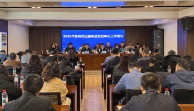 當好交通高質量發展的開路先鋒！青島市運輸中心召開2026年工作會議