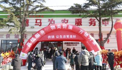 扎根鄉(xiāng)村 服務(wù)農(nóng)戶 青島供銷社三年布局20余個(gè)市級(jí)為農(nóng)服務(wù)綜合載體