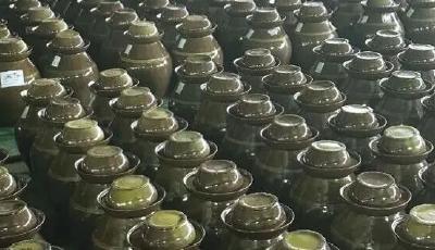 這顆“檸檬豆”造就最硬的“輕資產(chǎn)”