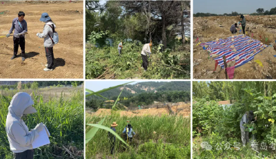 青島考古前置工作成效顯著：守護(hù)城市文脈，助力經(jīng)濟(jì)發(fā)展