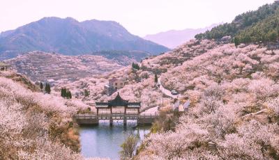 青島市嶗山區入選第一批美麗鄉村先行區名單