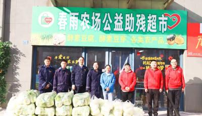 1000余斤白菜半日售罄！青岛市北巴士爱心助销为残疾人学员铺就增收路