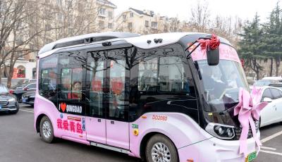 見證愛情  青島粉色“寶寶巴士”變身喜慶婚車 