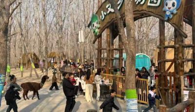 新春走基層 | 膠州市洋河鎮(zhèn)艾山鄉(xiāng)村振興片區(qū)農(nóng)文旅活動熱潮涌動