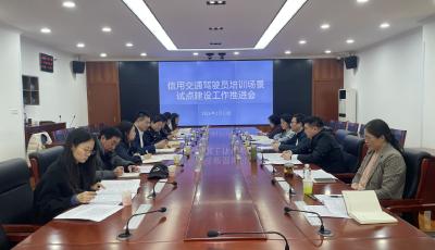 全省唯一試點！青島駕培行業信用監管開始“精準施工”