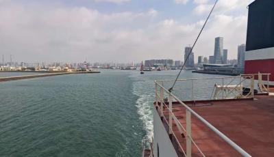 新春堅守崗位保暢通 青島引航站以行動踐行“引航先鋒”