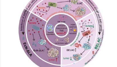 青科大在癌癥免疫治療領(lǐng)域取得新進(jìn)展