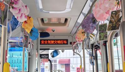 打造“移動新春花坊” 青島巴士迎春購花專線啟程