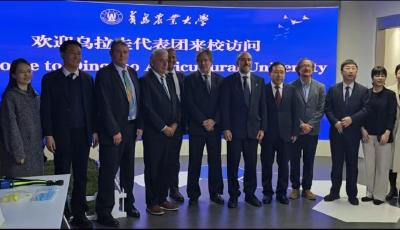 青島科創賦能中烏共贏 多領域聯合發力書寫合作新篇