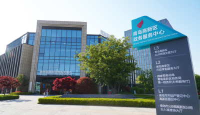 青島高新區2025年經營主體量質齊升 增幅領跑全市