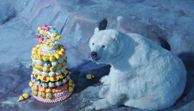 新春走基層｜非遺花餑餑賀歲、水下賽馬亮相，青島極地新春活動驚艷亮相年味拉滿