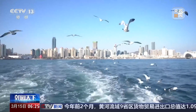 青岛海洋旅游为何受欢迎？从“橘子海”到“追鸥逐浪” 海洋旅游圈粉