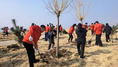 “黨建紅”引領(lǐng)“生態(tài)綠”：青島小澗西上演生態(tài)蝶變，60余名志愿者植樹護(hù)綠踐初心