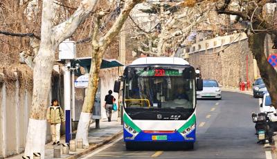 打造“玉蘭之約”主題車 青島巴士220路邀市民共賞春日浪漫