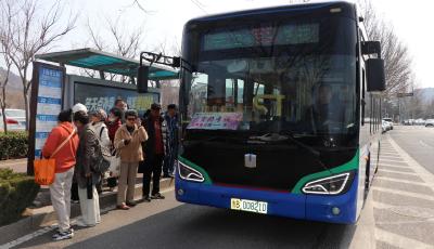 帶您直達梅園！青島公交“賞梅區(qū)間”車再出發(fā)