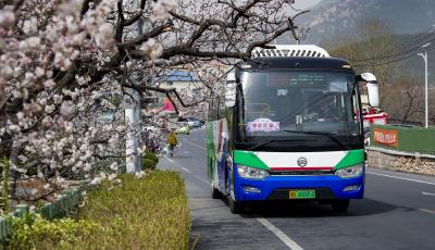 踏青赏花 青岛城运多举措保障市民便捷出游