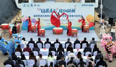 畫美達尼青島市鄉村振興片區春季果蔬采摘季啟幕 全年80場節慶活動打造四季文旅盛宴