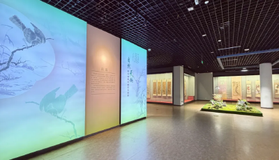 墨韻花鳥 春滿青博——《自然天趣——青州博物館藏花鳥畫展》3月20日開展