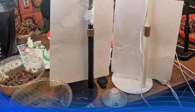 开局“十五五” 奋斗正当时丨不搞“一刀切”，只开“个性锁”！一村一产让薄弱村个个有奔头