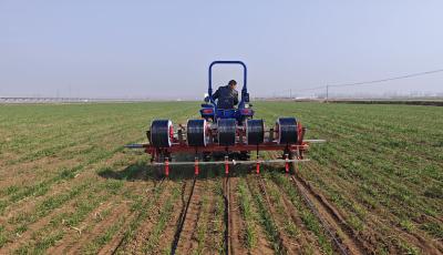 科技種糧添底氣！青島170余萬畝耕地實現水肥一體化種植