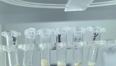 高新之光丨華夏生物兩款國內首創醫療器械進入注冊階段