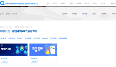 青岛推出跨境电商OPC服务专区，赋能企业高质量发展