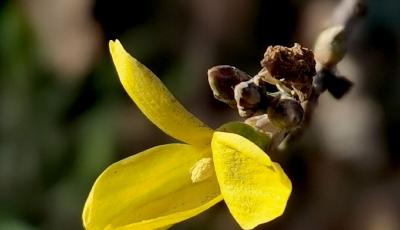 花粉過(guò)敏總反復(fù)？可能是用藥方式錯(cuò)了