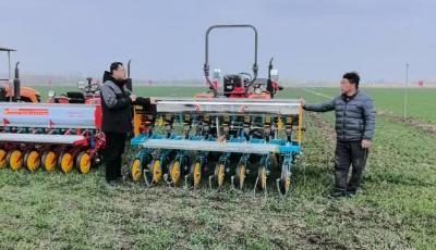 百日奋战 科技壮苗！青岛召开现场会部署春季麦田管理工作