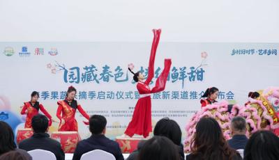 全城花开香为媒 全域联动景生金——2026西海岸新区唱响“赏花经济”新乐章