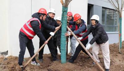 助力幸福安置區(qū)建設(shè)！中鐵建工即墨中心城項目開展植樹節(jié)主題活動