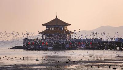 你可曾，到青島，赴過這場浪漫約定？