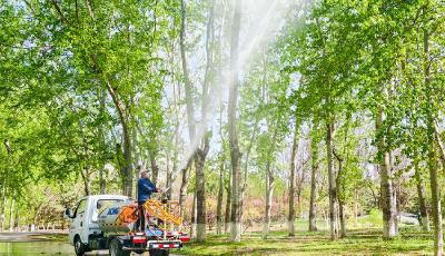 穿上“生態(tài)膜”后，楊柳飛絮“飛不動”
