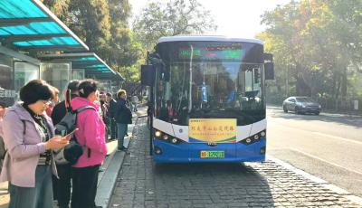 增長近五成！清明假期青島環太平山公交客流創新高 