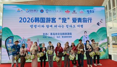 萌寵跨海！青島迎來首批韓國攜寵入境游客 樹立寵物友好旅游新標桿