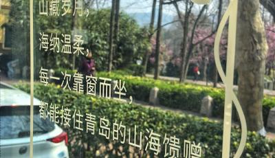 “車窗情書”＋“踏青專車” 青島巴士創新服務“雙線并進”